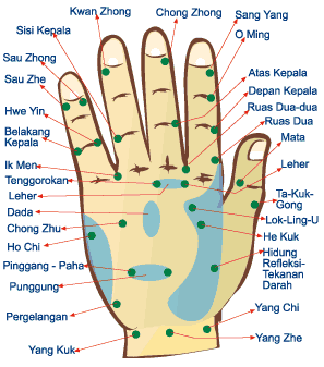 Titik Meridian syaraf tangan  dan kaki Koyo Refleksi Asli 