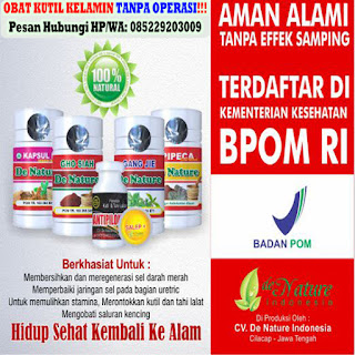 Obat Kutil Kelamin