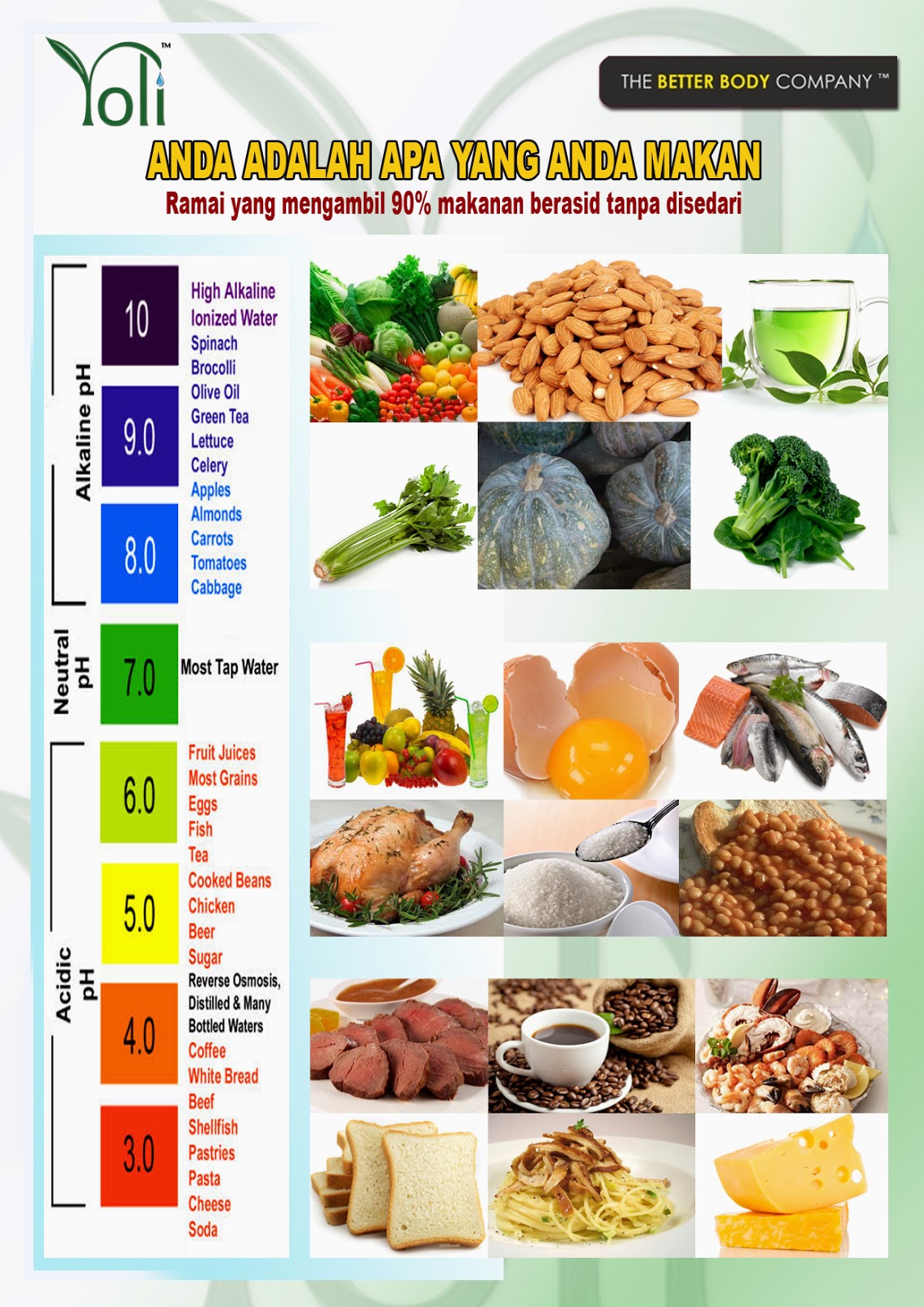 KEBAIKAN MAKANAN BERALKALI  InspirasilensaEnterprise 