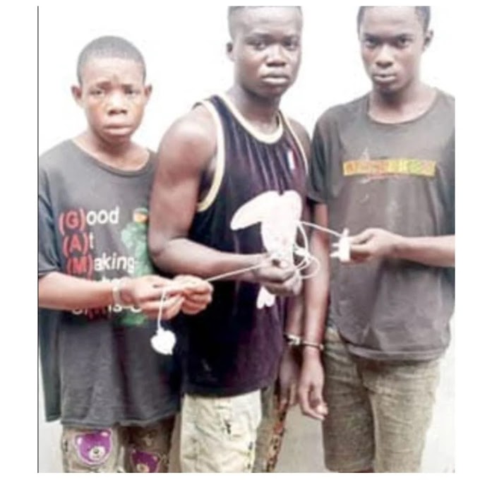 Teenage boys arrested for breaking into shops In Ijebu