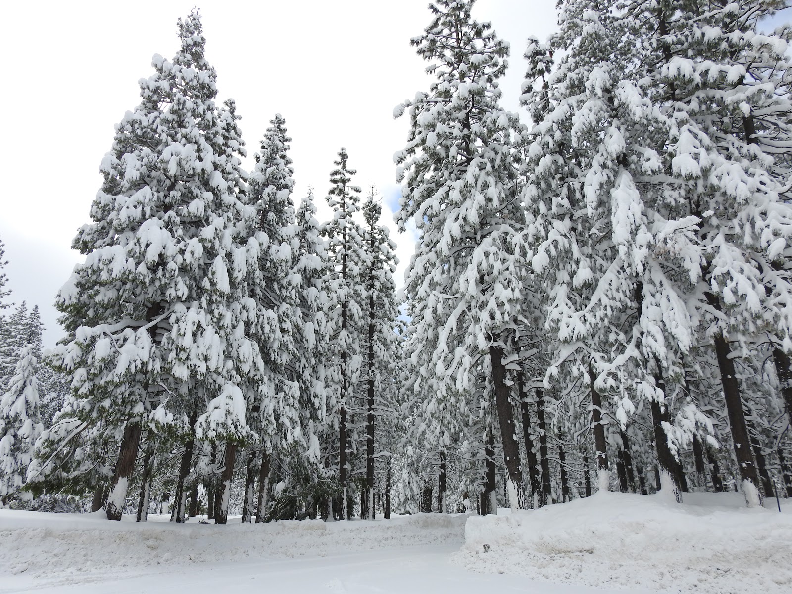 snowing on lake tahoe