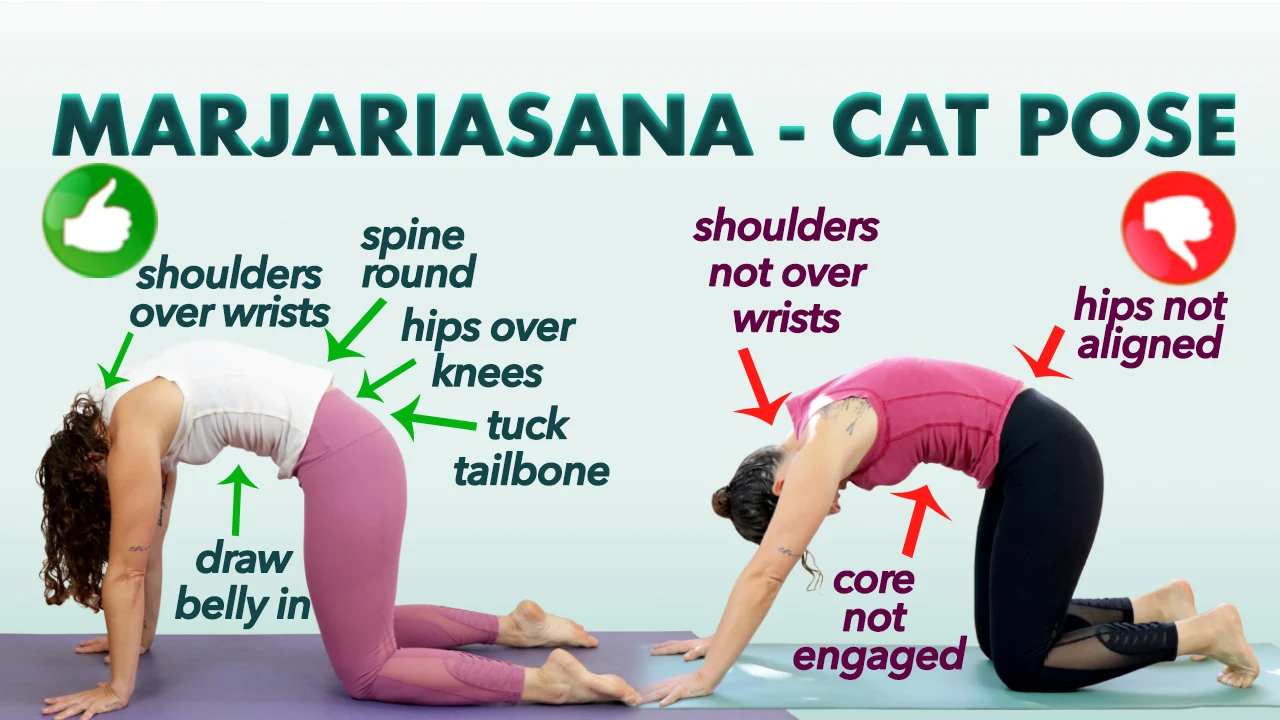 Marjariasana - Cat Cow Yoga Pose