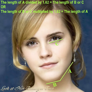 Emma Watson Beautiful Face And Its Golden Ratio