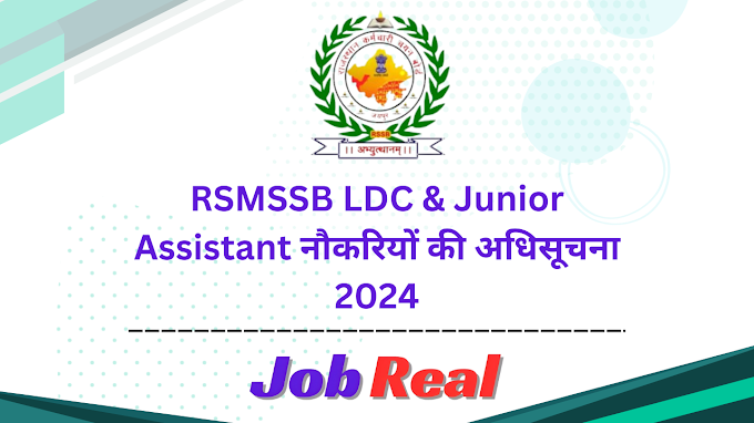 RSMSSB LDC & Junior Assistant नौकरियों की अधिसूचना 2024 | ऑनलाइन आवेदन करें  4197 पदों के लिए
