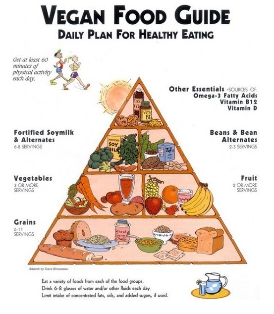 Food Pyramid For Kids Servings food pyramid for kids servings. Food Pyramid For Kids Servings
