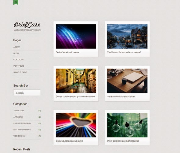 Portfolio theme wordpress