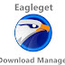 Download EagleGet solusi download selain IDM