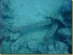 Anchor