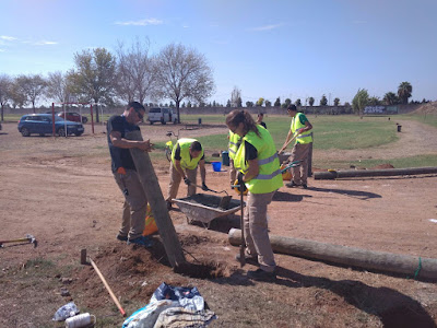 Alumnos de T'Avalem Moncofa colocando los postes de madera del vallado.