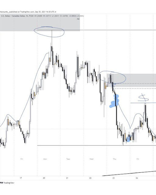 Maroun4x Ultimate Day Trading Program