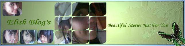 Elish Blog's