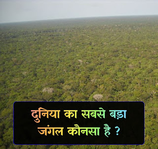 दुनिया का सबसे बड़ा जंगल कौनसा है ?