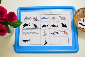 Sharks Themed Unit: Matching Shadows and Memory Game