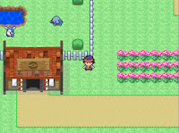 Pokemon Legacy Screenshot 06