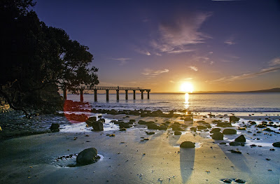 playa de auckland