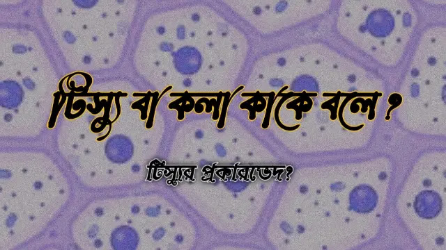 টিস্যু বা কলা কাকে বলে