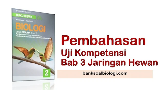 Jawaban Soal Uraian Biologi Buku Erlangga Kelas XI Bab 3 Struktur dan Fungsi Jaringan Hewan