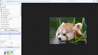 Imacros Onload & Download