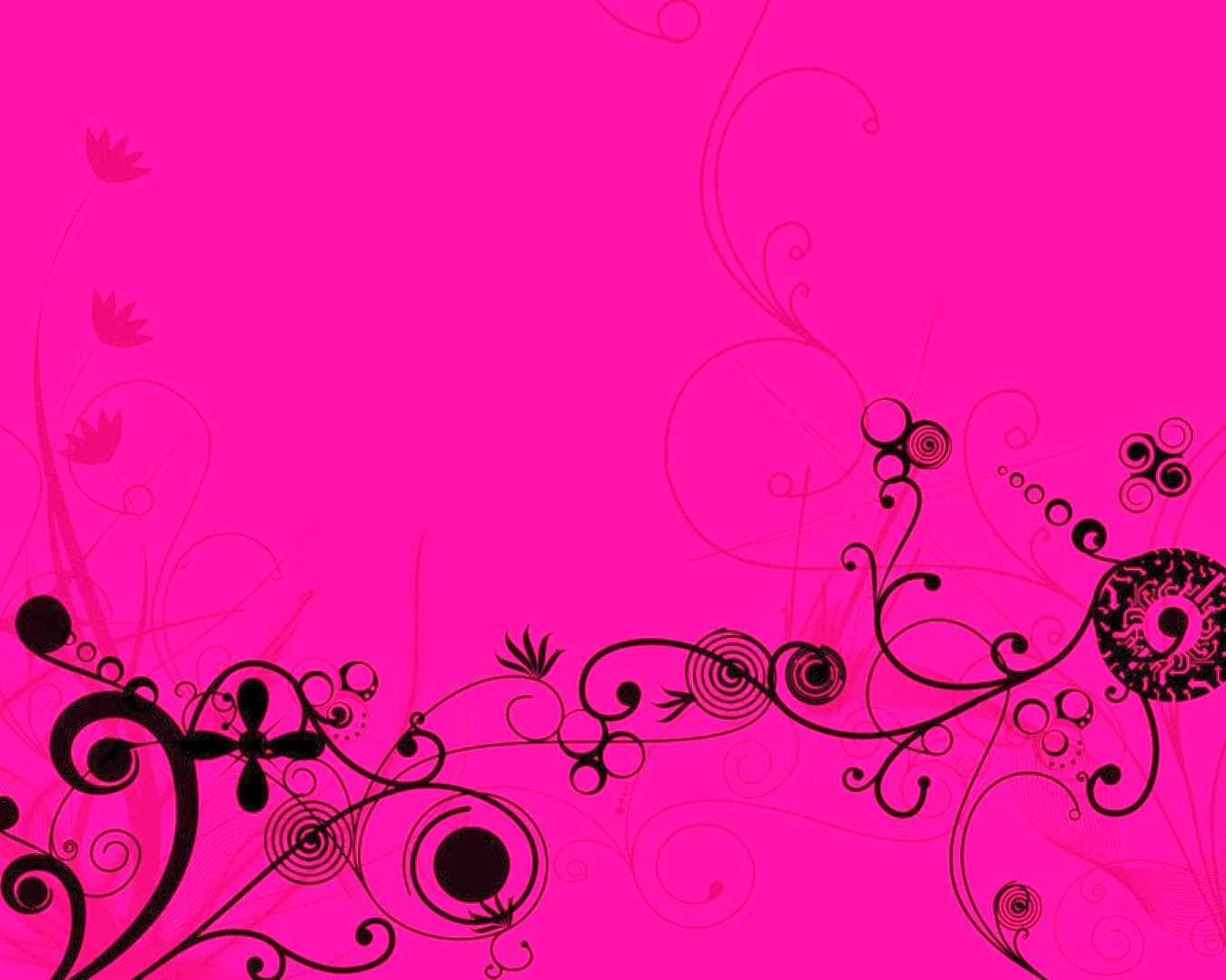 types of flowers roses Hot Pink Flower Background | Kinds of Flowers | 1350 x 1080