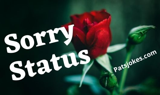 sorry status in hindi