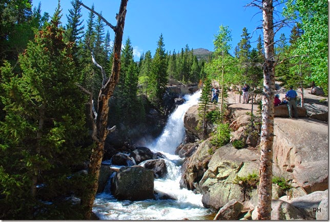 06-23-14 A RMNP Alberta Falls Loop (66)