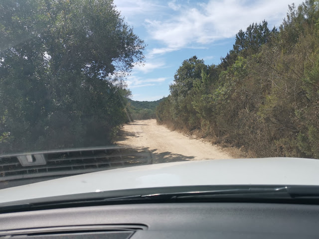 Corsica, strada per Roccapina