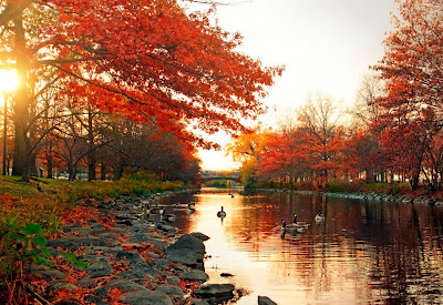 Postales de Otoño con el rio y un hermoso amanecer