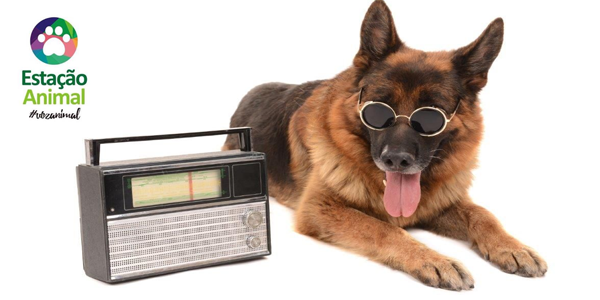 Amanhã tem Estação Animal na Rádio Folha