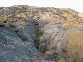 Badlands near Fort Peck, Montana, where we found Petrified Wood