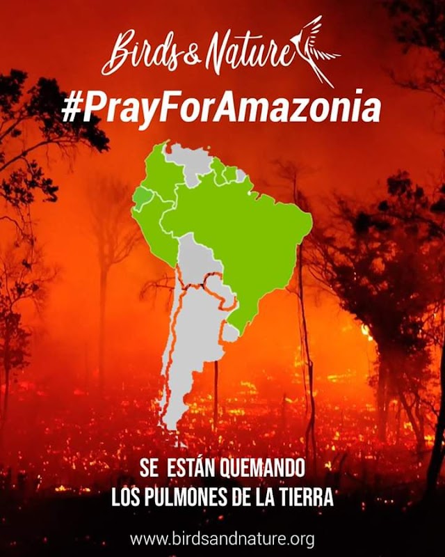 ¡Pray For Amazonia!