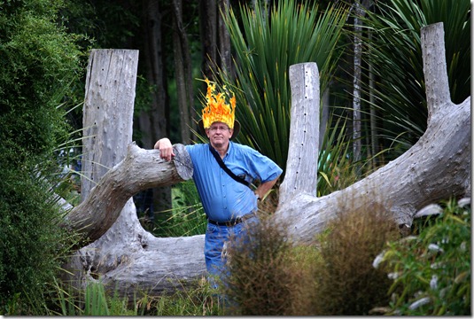 Head of Fire