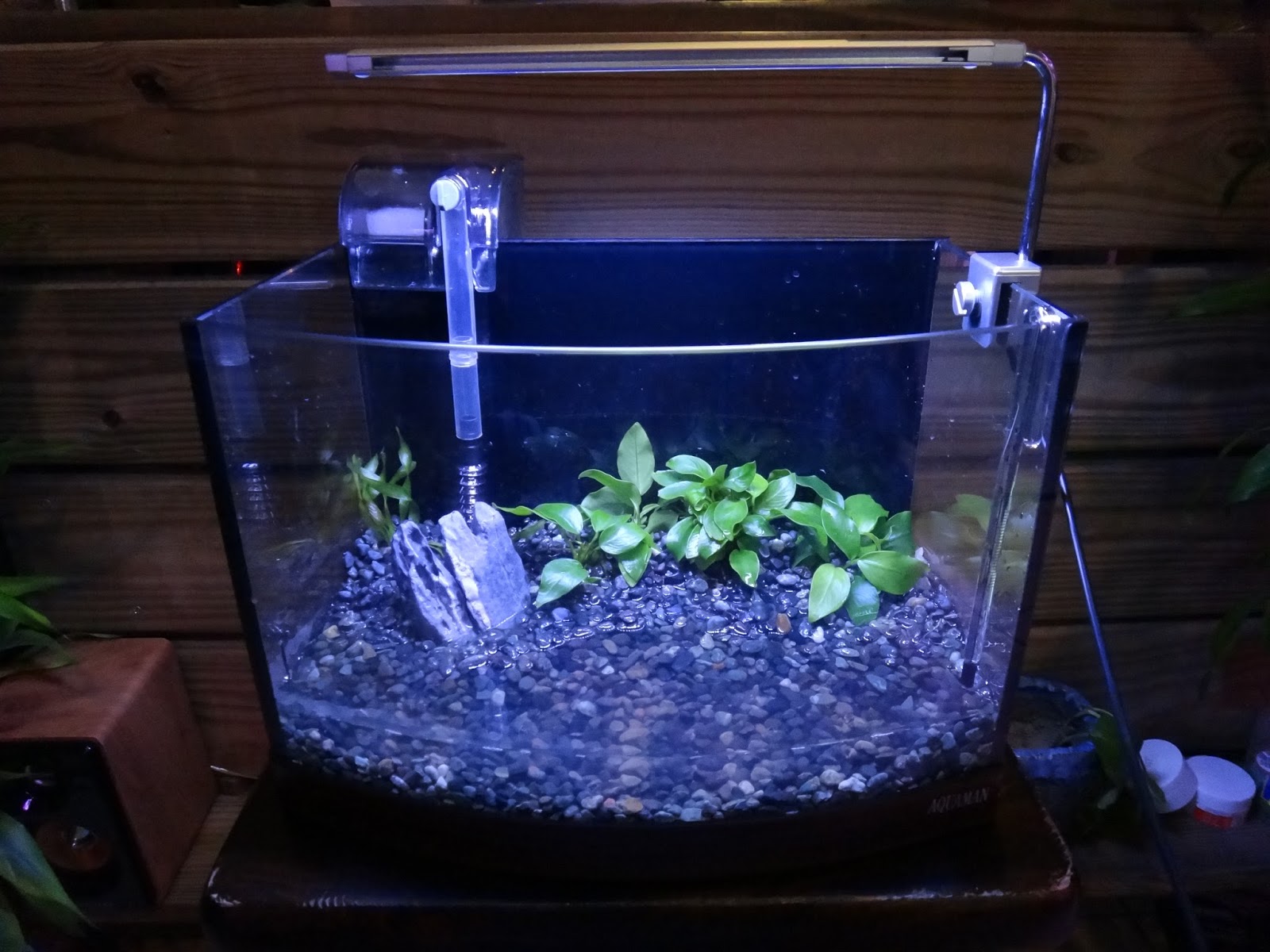 頂極水族工程有限公司 Top Aquarium Engineering Co Ltd H 005 永和 吳小姐 孔雀魚水草造景缸 101 08 11