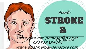 obat stroke herbal,obat herbal stroke,obat stroke denature,obat lumpuh separo,obat stroke ringan,obat stroke berat