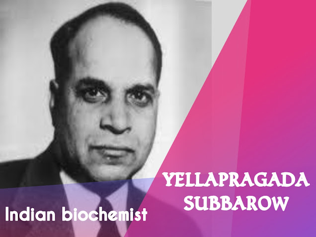 Yellapragada Subbarow