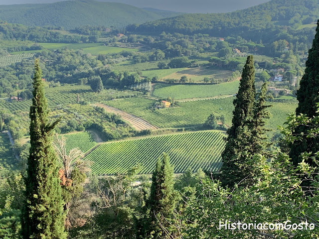 visão geral de outro vale esverdeado com plantações de uva por toda a região