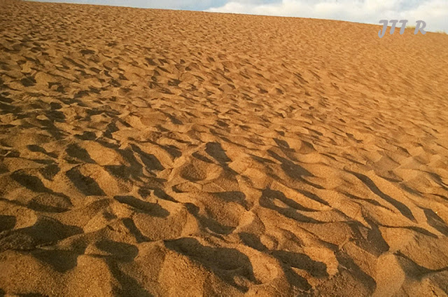 หาดหงส์