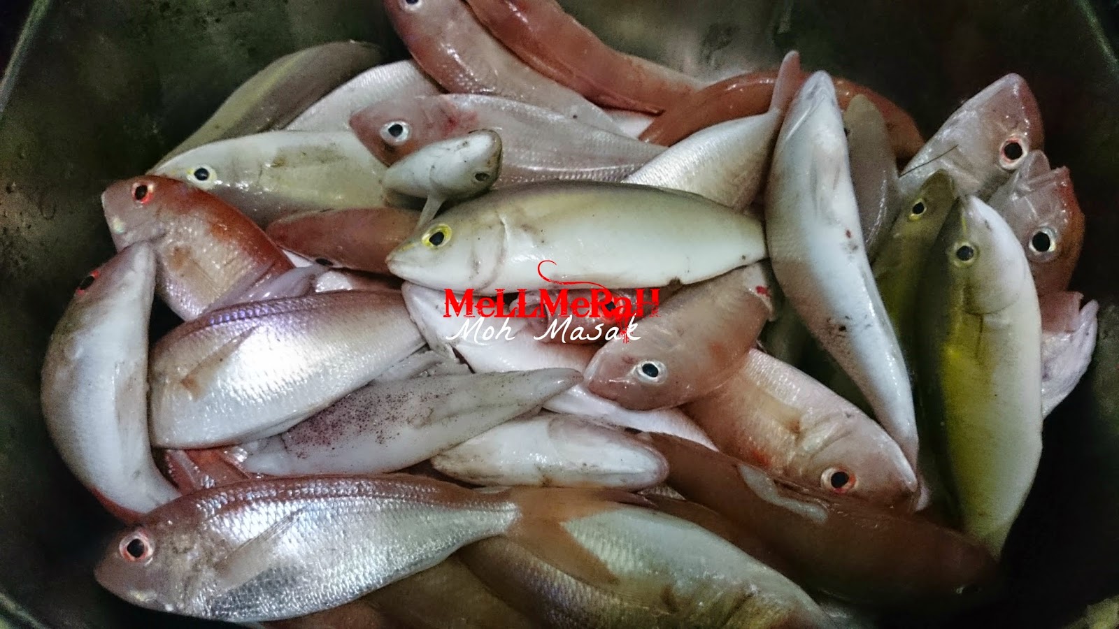 Moh Masak: IkAn KeRiSi MaSam MaNis