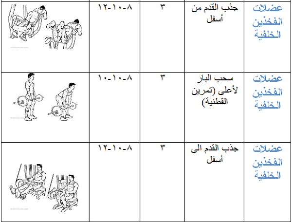 برنامج تدريب جيم للمبتدئين فى 4 أسابيع فقط