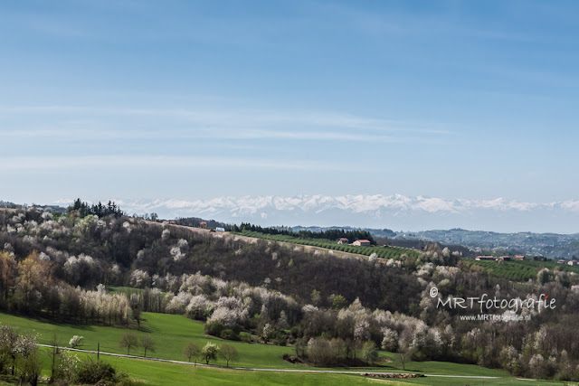 overzicht Piemonte met bloesem en alpentoppen aan de horizon