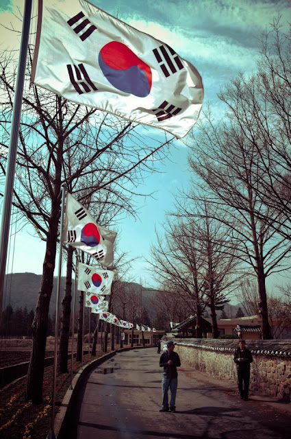 South Korean flags