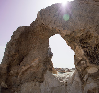 Bahariya Oasis