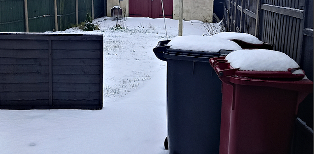 Snow in my garden