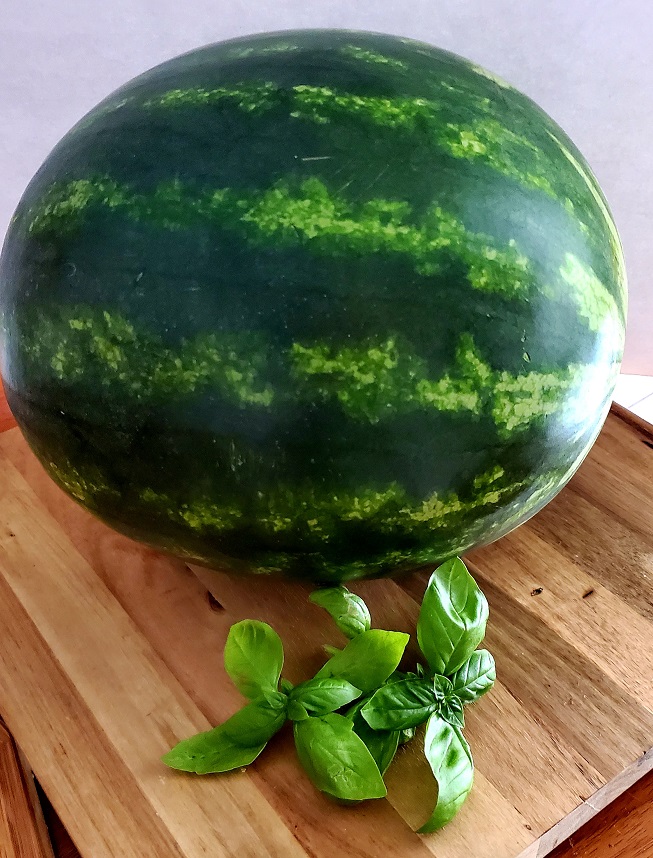 this is a whole watermelon with fresh basil
