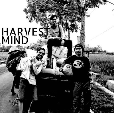 Harvest Mind, Kisah Para Petani Muda dari Purbalingga