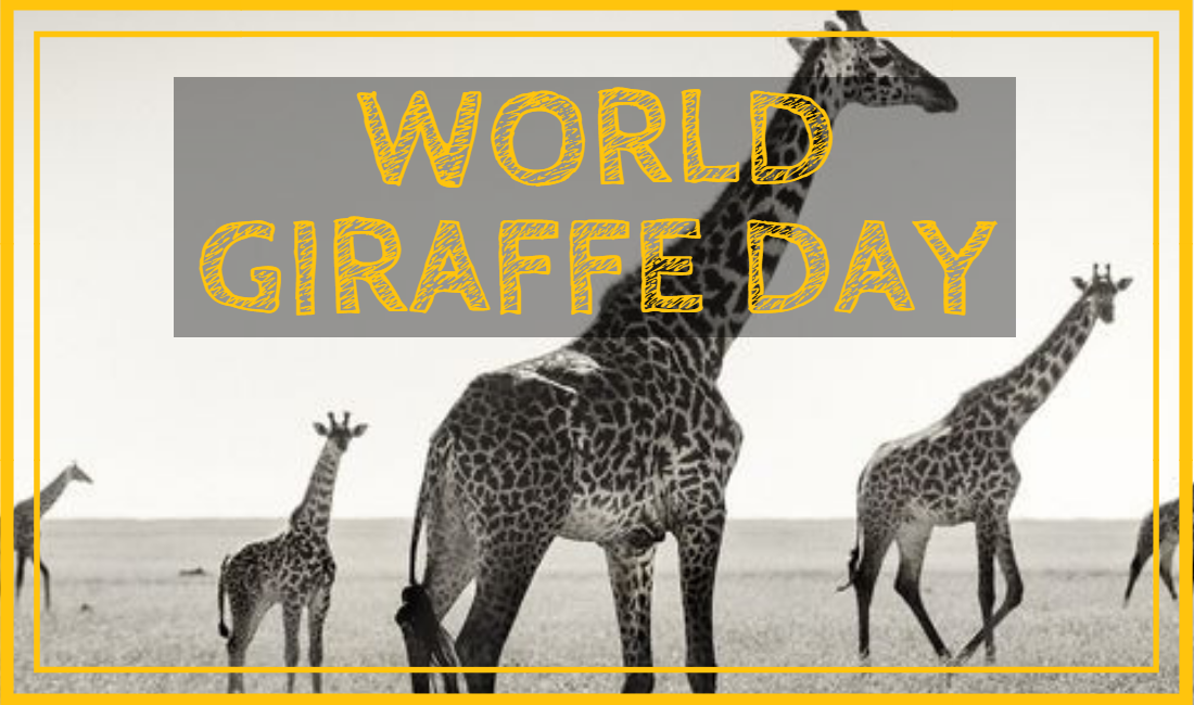 National Giraffe Day