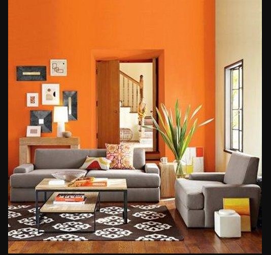 Drawing Room Painting Idea with orange color