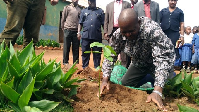 WANAO WINDA PANYA KUNUSURU SHUGHULI ZAO ZA KILIMO KUKOMESHWA