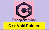 What is C++ Void Pointer
