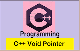 What is C++ Void Pointer