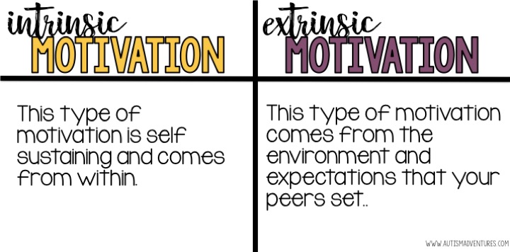 pics Intrinsic Motivation Examples In The Classroom zero motivation autism adventures
